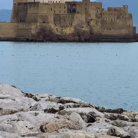 Apartament For House *